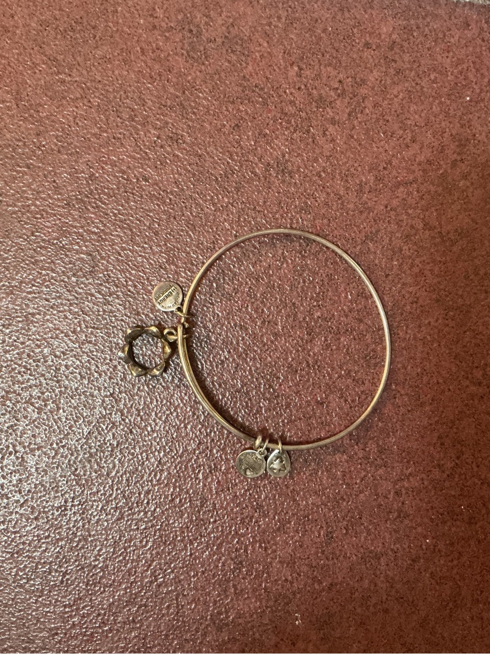 Alex and Ani silver Charm Expandable Bangle Bracelet